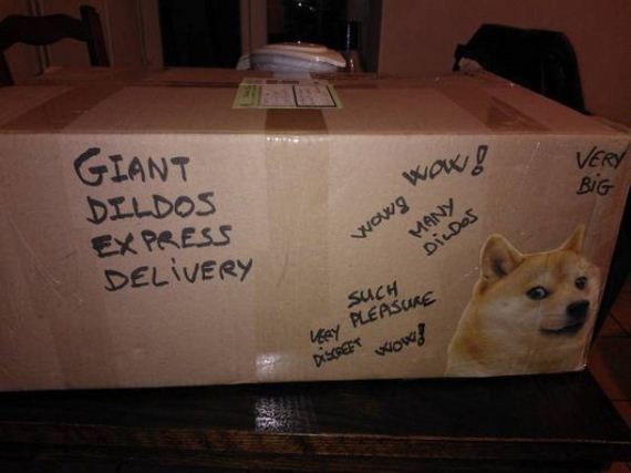 funny-pictures-1193