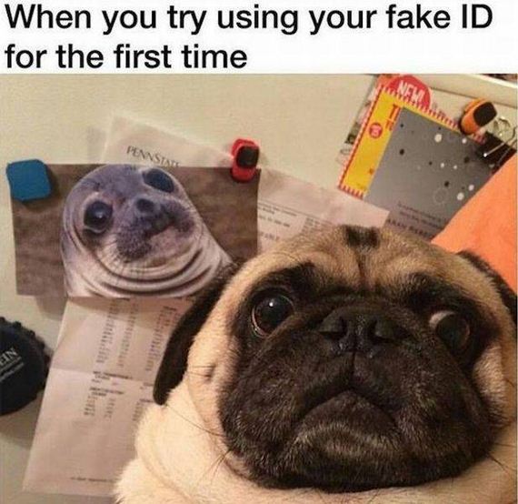 funny-pictures-1194