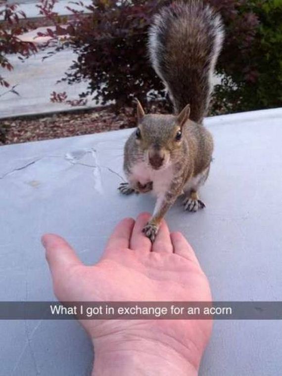 funny-pictures-1194