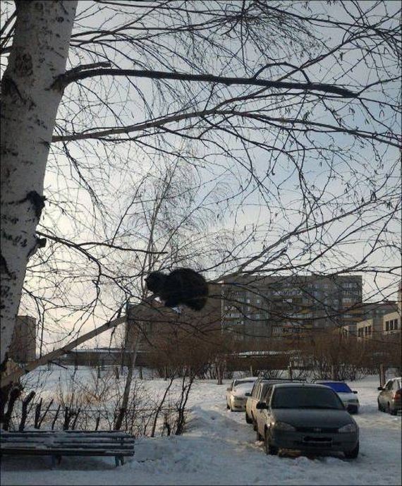 funny-pictures-1194