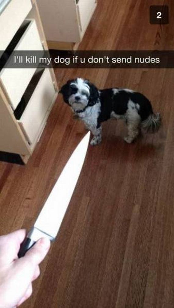 funny-pictures-1195
