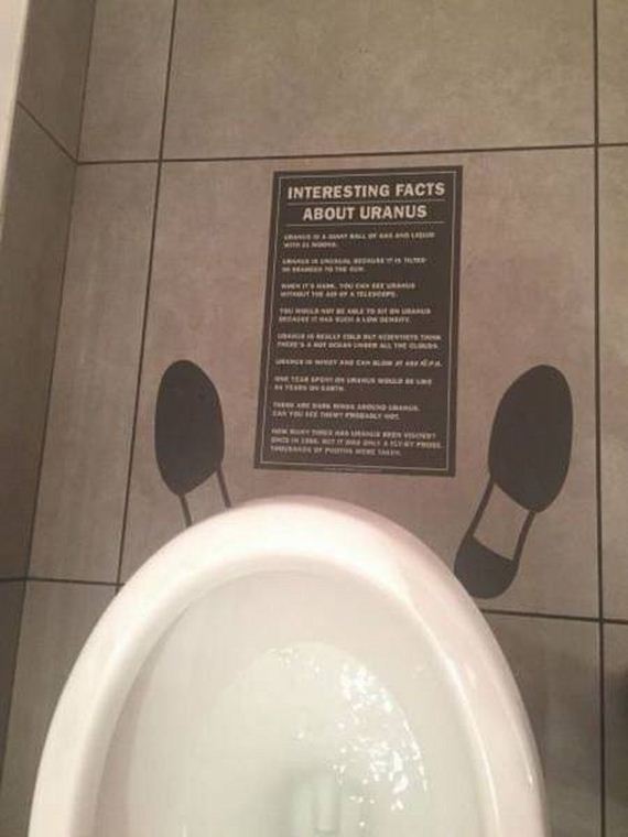 funny-pictures-1195