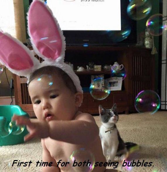 funny-pictures-1195