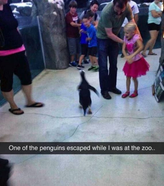 funny-pictures-1195