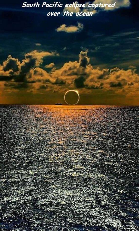 funny-pictures-1195