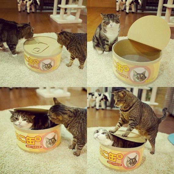 funny-pictures-1197