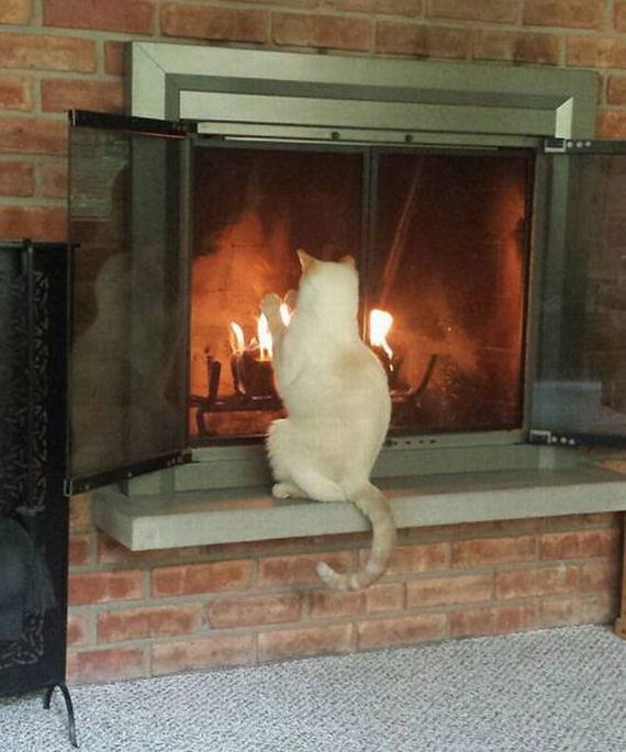 funny-pictures-1197
