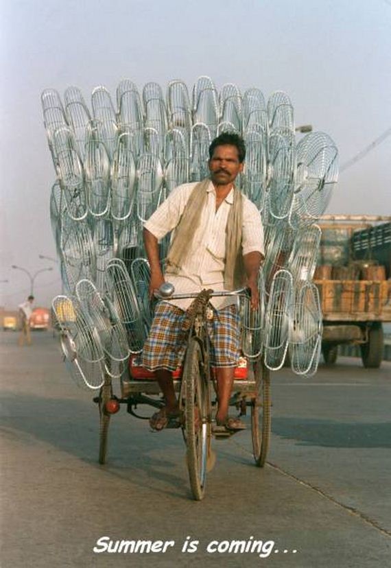 funny-pictures-1197