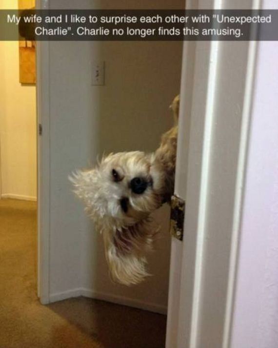 funny-pictures-1197