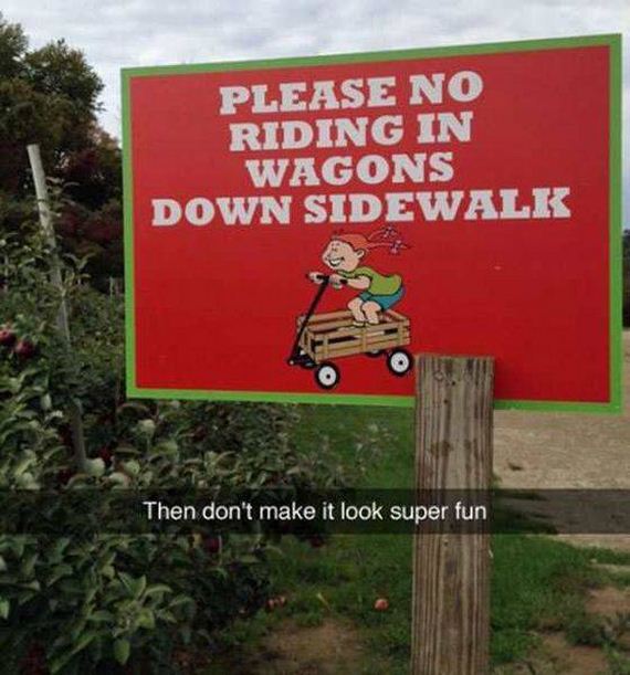 funny-pictures-1197