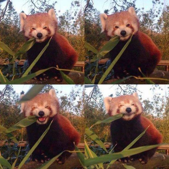 funny-pictures-1197