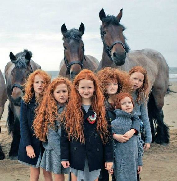 funny-pictures-1197