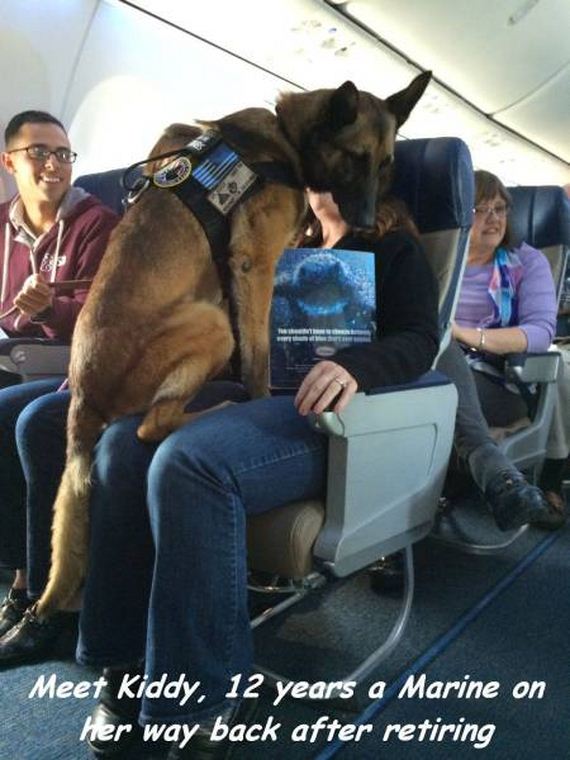 funny-pictures-1198