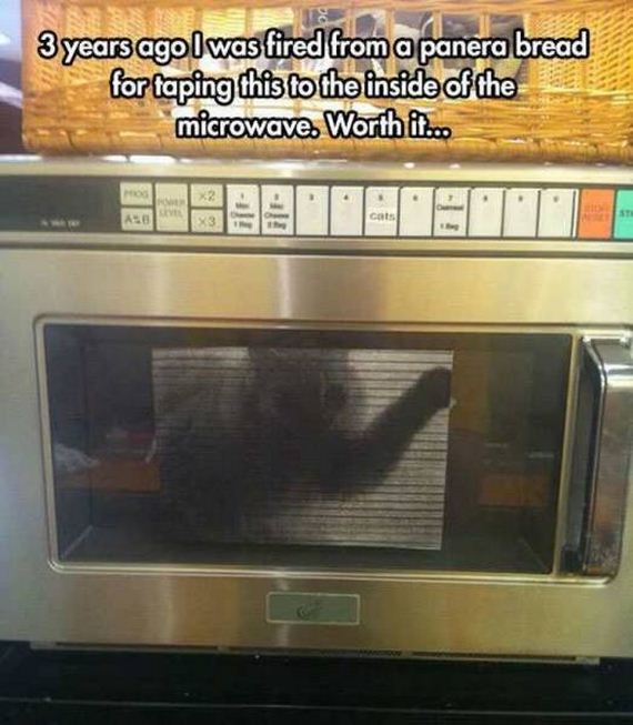 funny-pictures-1198