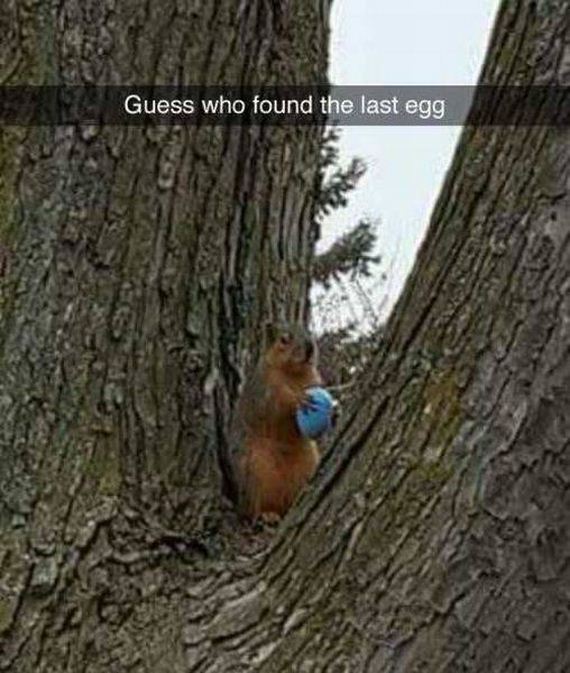 funny-pictures-1198