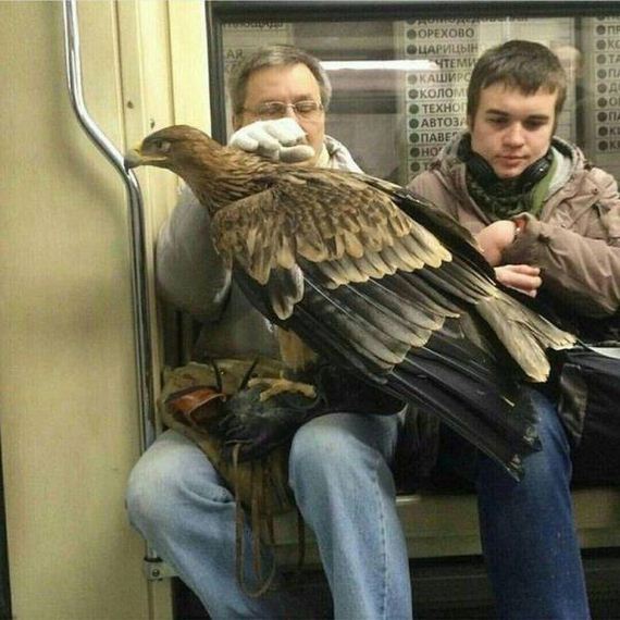 funny-pictures-1198