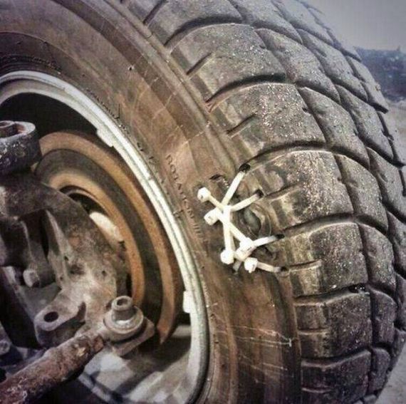 funny-pictures-1198