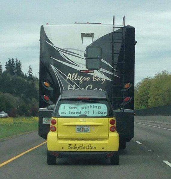funny-pictures-1200