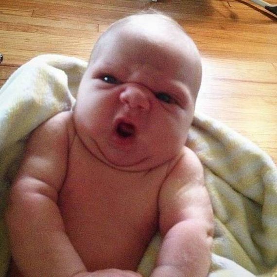 funny-pictures-1200