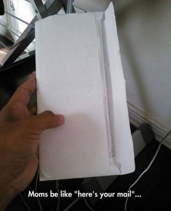 funny-pictures-1200