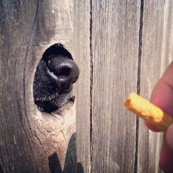 funny-pictures-1200
