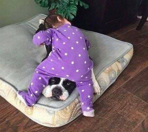 funny-pictures-1200