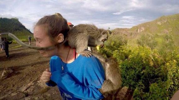 funny-pictures-1201
