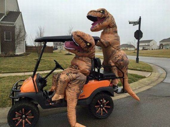 funny-pictures-1201