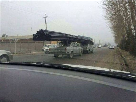 funny-pictures-1201