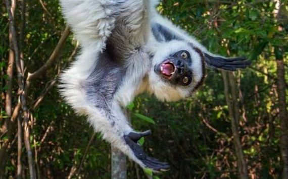 funny-pictures-1201