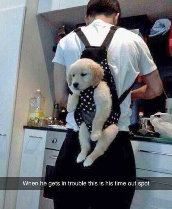 funny-pictures-1201