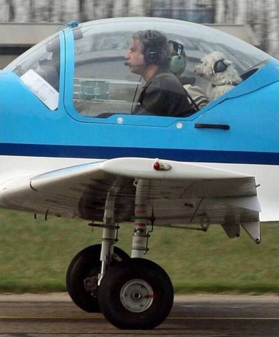 funny-pictures-1201