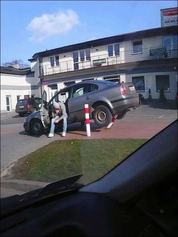 funny-pictures-1201