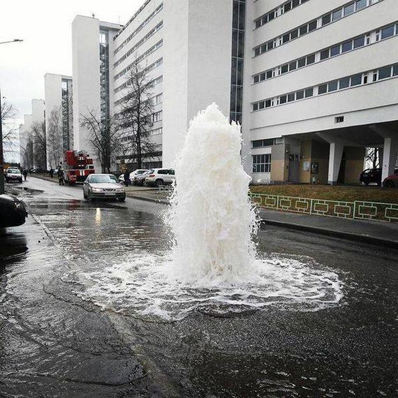 funny-pictures-1201