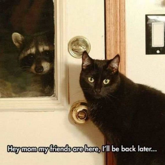 funny-pictures-1201