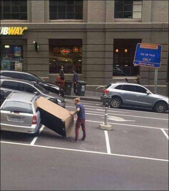 funny-pictures-1201