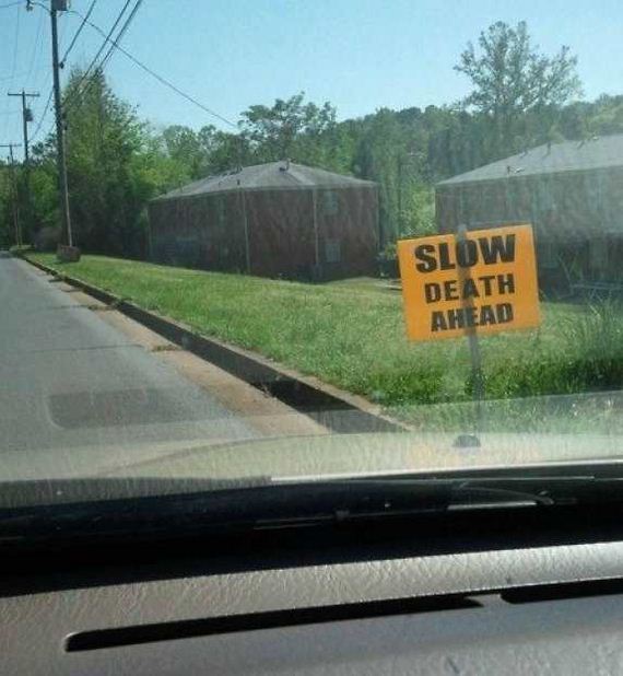 funny-pictures-1202