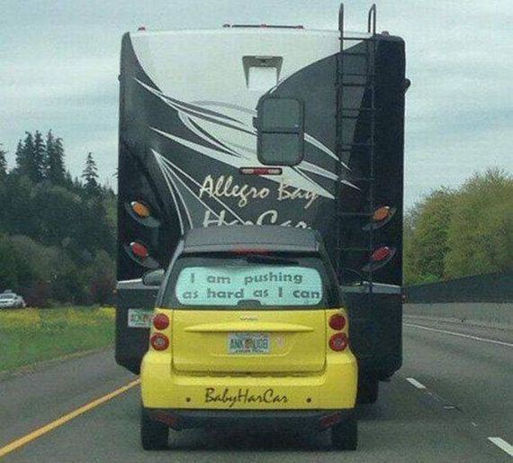 funny-pictures-1202