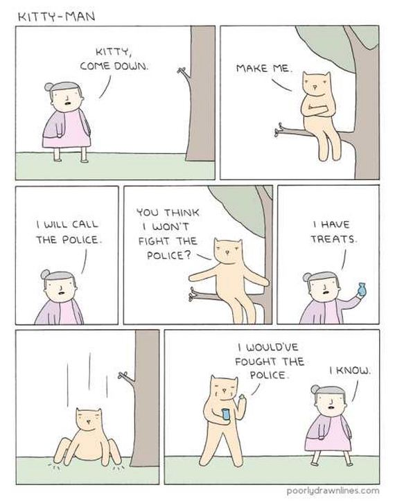 funny-pictures-1202