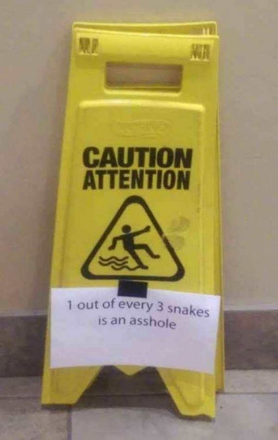 funny-pictures-1202