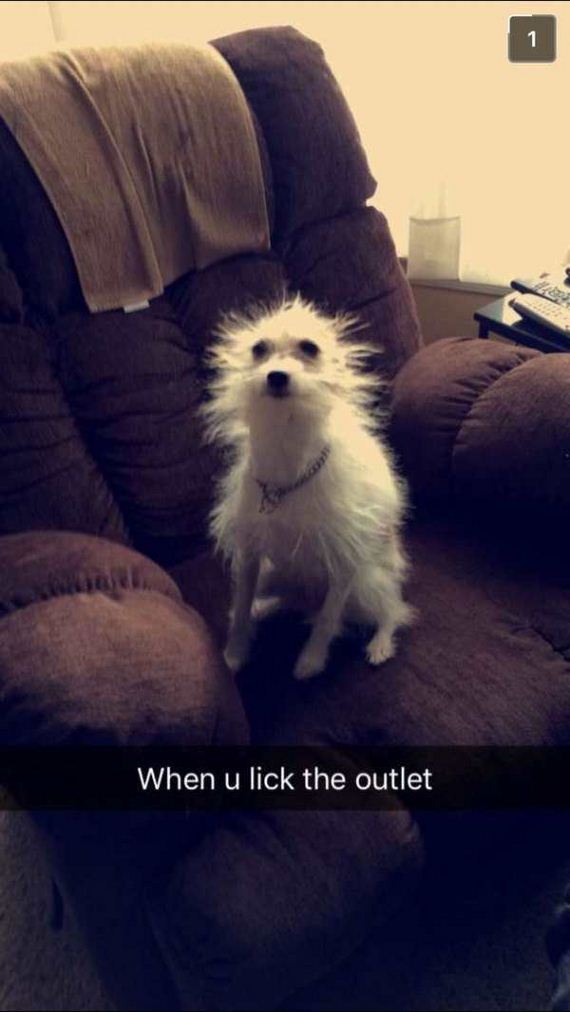 funny-pictures-1202