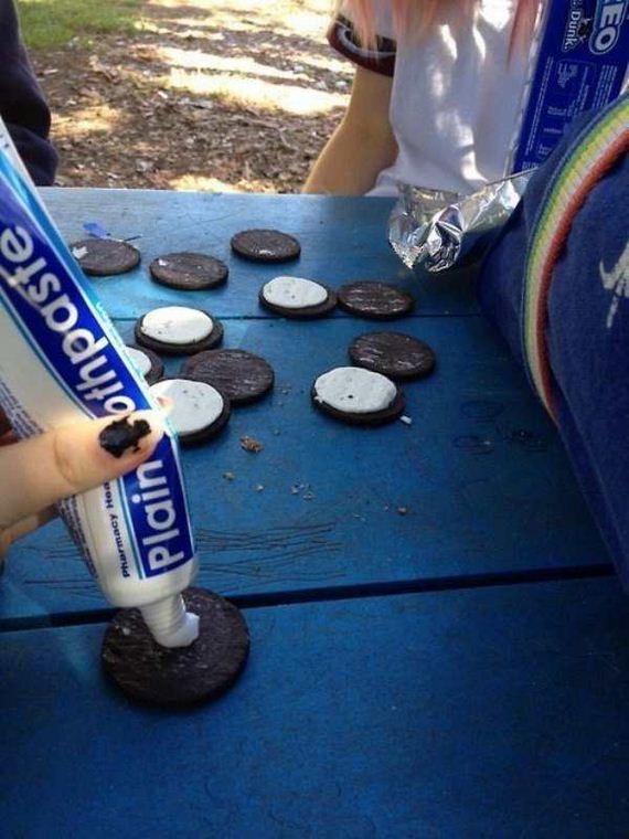funny-pictures-1202