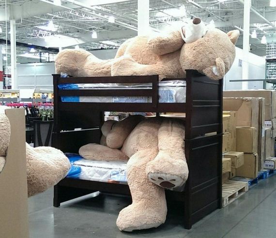 funny-pictures-1205