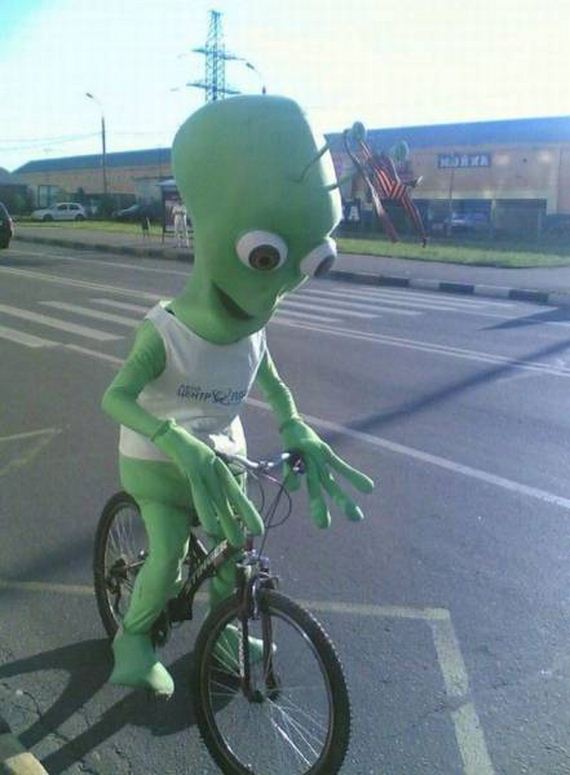 funny-pictures-1205