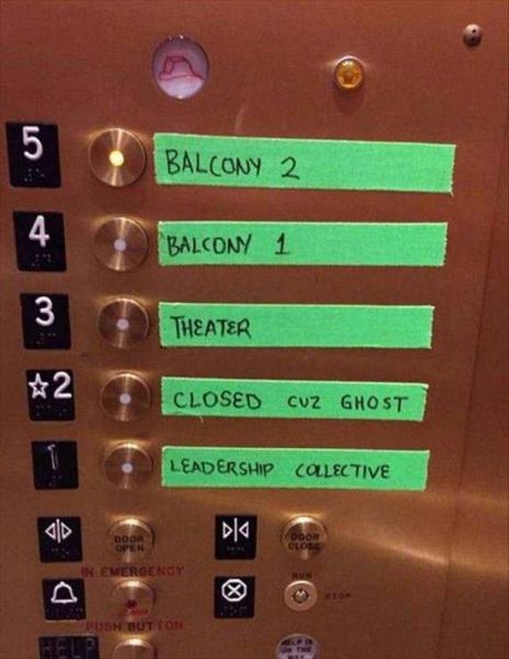 funny-pictures-1205
