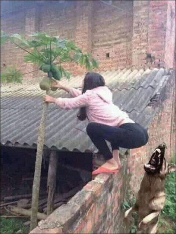 funny-pictures-1205