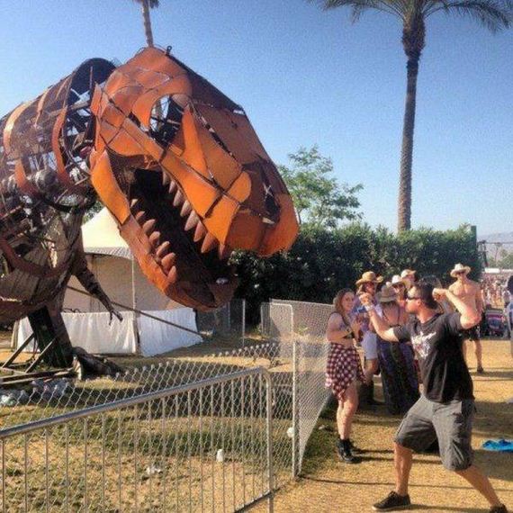 funny-pictures-1205