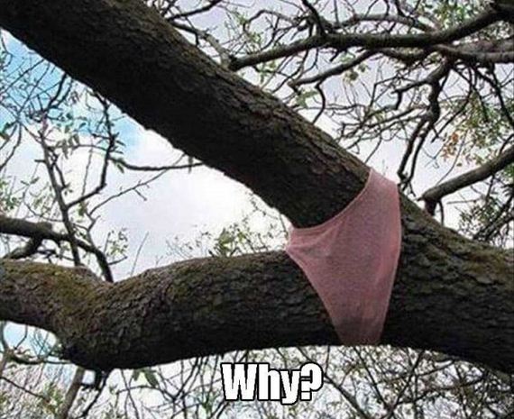 funny-pictures-1207