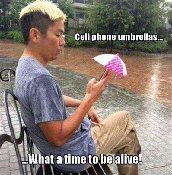 funny-pictures-1207