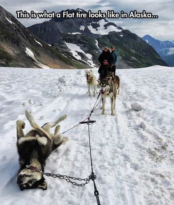 funny-pictures-1207